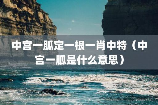 中宫一胍定一根一肖中特（中宫一胍是什么意思）