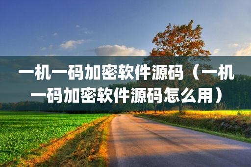 一机一码加密软件源码（一机一码加密软件源码怎么用）