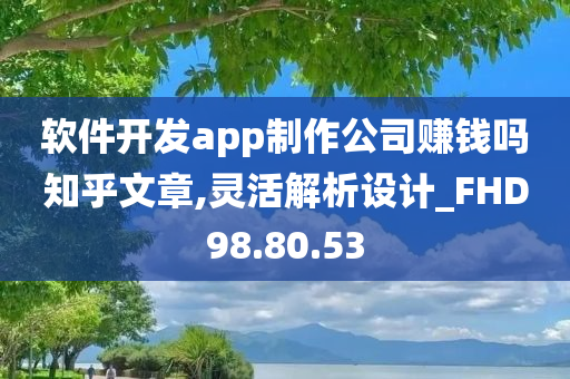 软件开发app制作公司赚钱吗知乎文章,灵活解析设计_FHD98.80.53