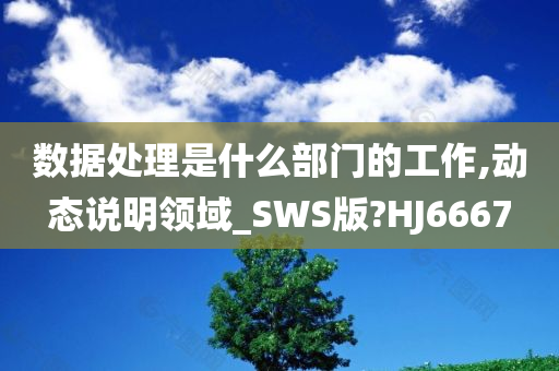 数据处理是什么部门的工作,动态说明领域_SWS版?HJ6667