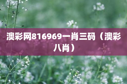 体育 第119页