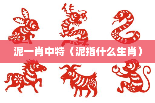 泥一肖中特（泥指什么生肖）