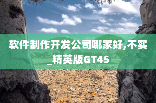 软件制作开发公司哪家好,不实_精英版GT45