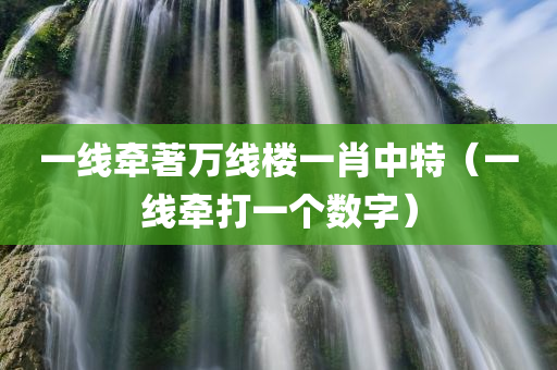 一线牵著万线楼一肖中特（一线牵打一个数字）