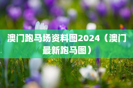 澳门跑马场资料图2024（澳门最新跑马图）