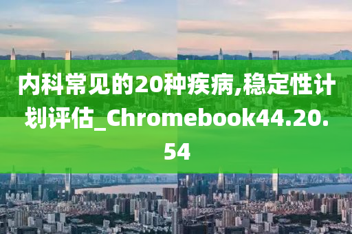 内科常见的20种疾病,稳定性计划评估_Chromebook44.20.54