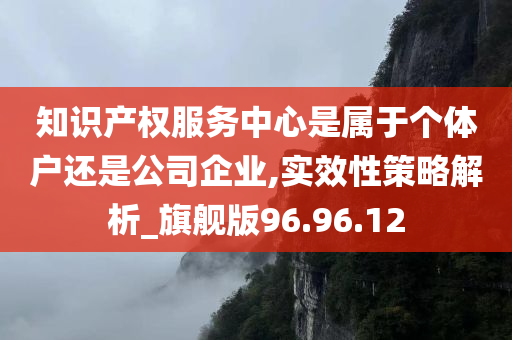 知识产权服务中心是属于个体户还是公司企业,实效性策略解析_旗舰版96.96.12