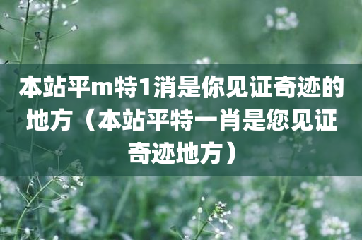 本站平m特1消是你见证奇迹的地方（本站平特一肖是您见证奇迹地方）