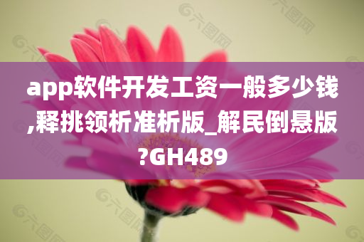 app软件开发工资一般多少钱,释挑领析准析版_解民倒悬版?GH489