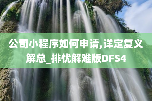 公司小程序如何申请,详定复义解总_排忧解难版DFS4