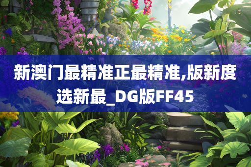 新澳门最精准正最精准,版新度选新最_DG版FF45