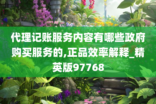 代理记账服务内容有哪些政府购买服务的,正品效率解释_精英版97768