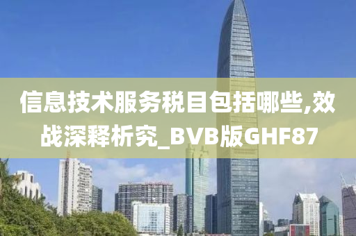 信息技术服务税目包括哪些,效战深释析究_BVB版GHF87