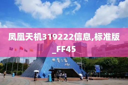 凤凰天机319222信息,标准版_FF45