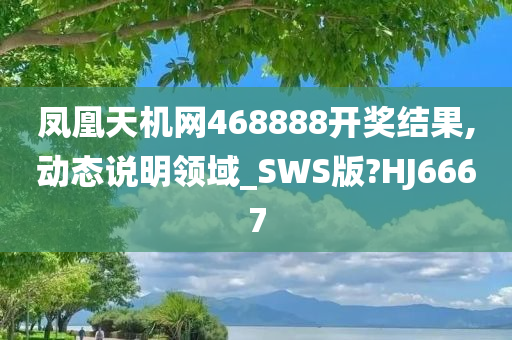 凤凰天机网468888开奖结果,动态说明领域_SWS版?HJ6667