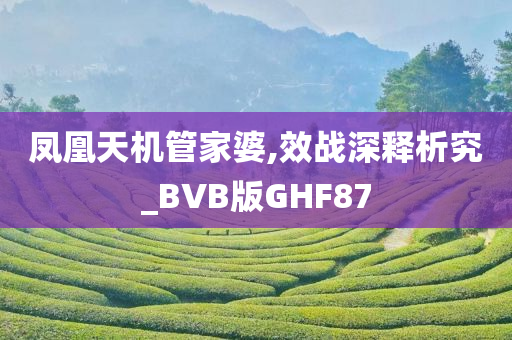 凤凰天机管家婆,效战深释析究_BVB版GHF87