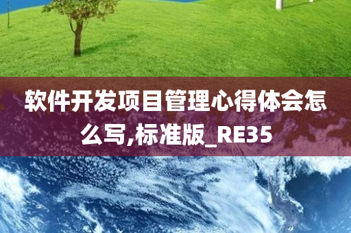 软件开发项目管理心得体会怎么写,标准版_RE35