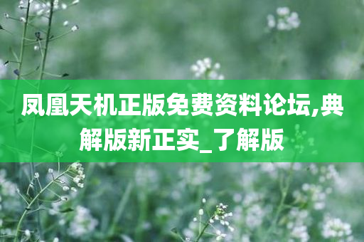 凤凰天机正版免费资料论坛,典解版新正实_了解版