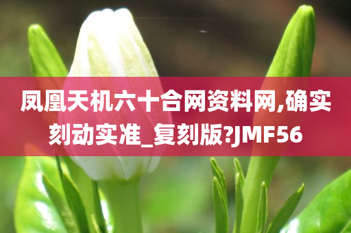 凤凰天机六十合网资料网,确实刻动实准_复刻版?JMF56