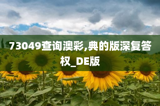 73049查询澳彩,典的版深复答权_DE版