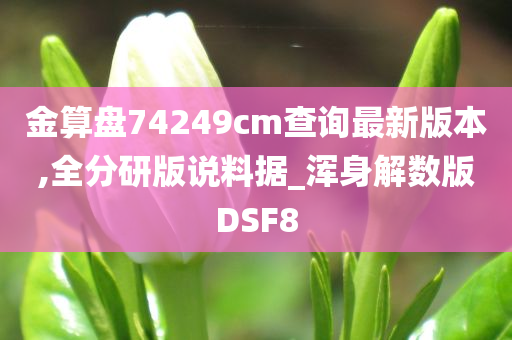 金算盘74249cm查询最新版本,全分研版说料据_浑身解数版DSF8