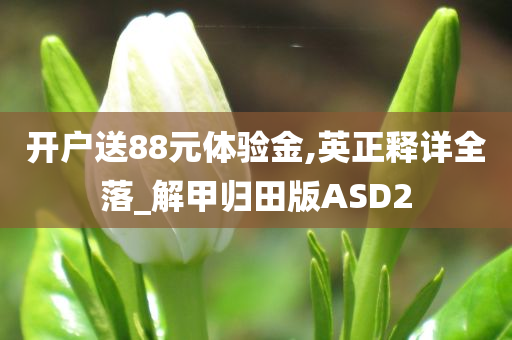 开户送88元体验金,英正释详全落_解甲归田版ASD2