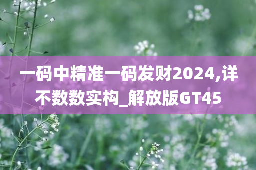 一码中精准一码发财2024,详不数数实构_解放版GT45