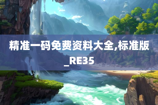 精准一码免费资料大全,标准版_RE35