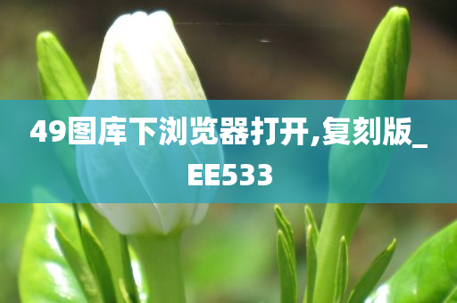 49图库下浏览器打开,复刻版_EE533