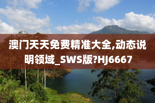 澳门天天免费精准大全,动态说明领域_SWS版?HJ6667