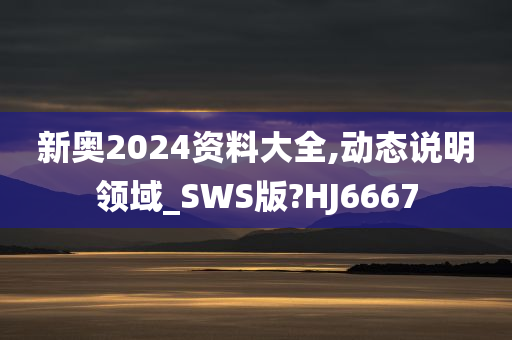 新奥2024资料大全,动态说明领域_SWS版?HJ6667