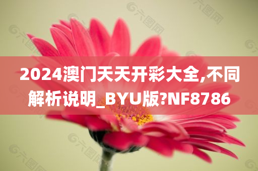 2024澳门天天开彩大全,不同解析说明_BYU版?NF8786