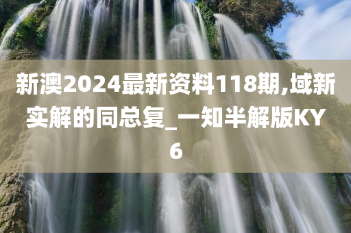 新澳2024最新资料118期,域新实解的同总复_一知半解版KY6