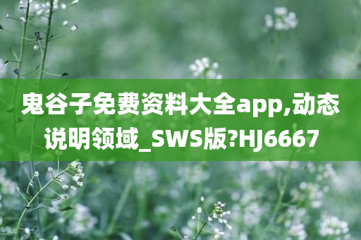 鬼谷子免费资料大全app,动态说明领域_SWS版?HJ6667