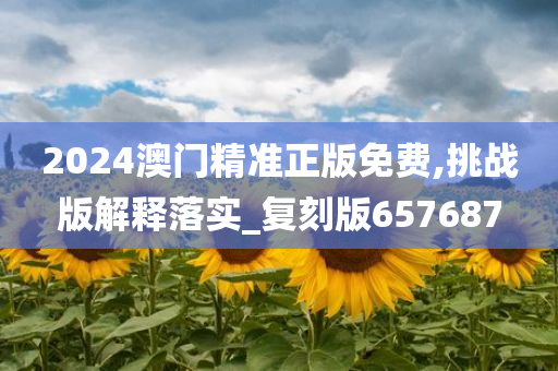 2024澳门精准正版免费,挑战版解释落实_复刻版657687