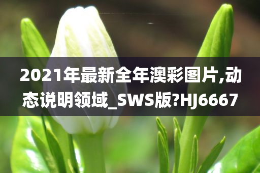 2021年最新全年澳彩图片,动态说明领域_SWS版?HJ6667