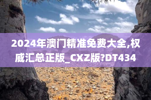 2024年澳门精准免费大全,权威汇总正版_CXZ版?DT434