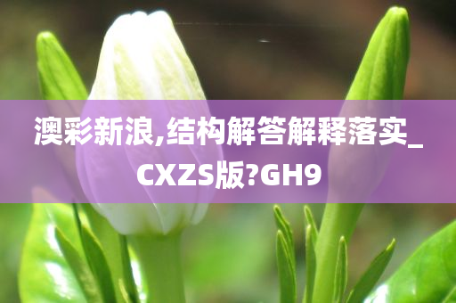 澳彩新浪,结构解答解释落实_CXZS版?GH9