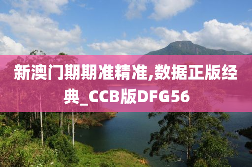 新澳门期期准精准,数据正版经典_CCB版DFG56