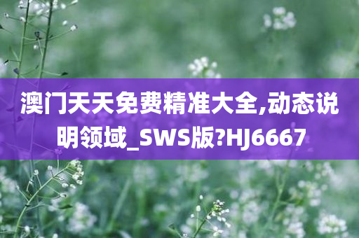 澳门天天免费精准大全,动态说明领域_SWS版?HJ6667