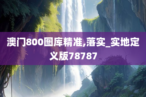 澳门800图库精准,落实_实地定义版78787