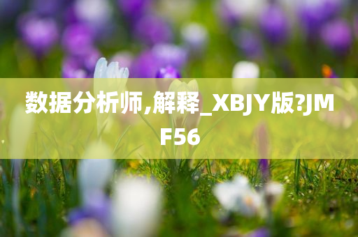 数据分析师,解释_XBJY版?JMF56