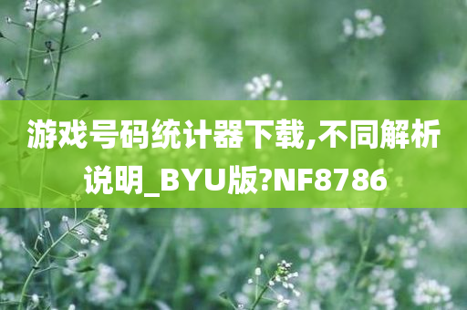 游戏号码统计器下载,不同解析说明_BYU版?NF8786