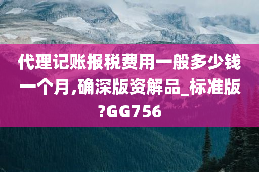 代理记账报税费用一般多少钱一个月,确深版资解品_标准版?GG756