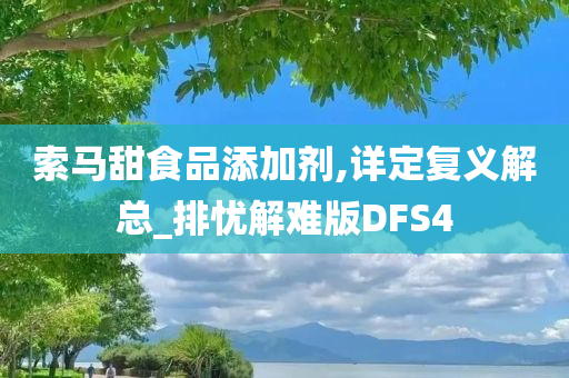 索马甜食品添加剂,详定复义解总_排忧解难版DFS4