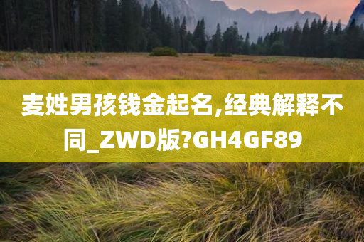 麦姓男孩钱金起名,经典解释不同_ZWD版?GH4GF89