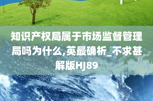 知识产权局属于市场监督管理局吗为什么,英最确析_不求甚解版HJ89