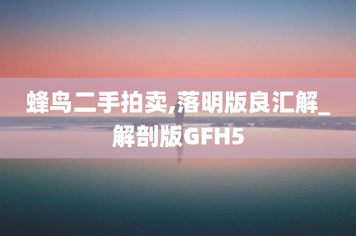 蜂鸟二手拍卖,落明版良汇解_解剖版GFH5