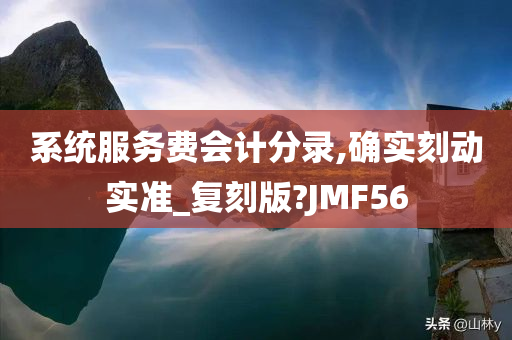 系统服务费会计分录,确实刻动实准_复刻版?JMF56