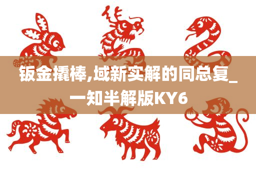 钣金撬棒,域新实解的同总复_一知半解版KY6